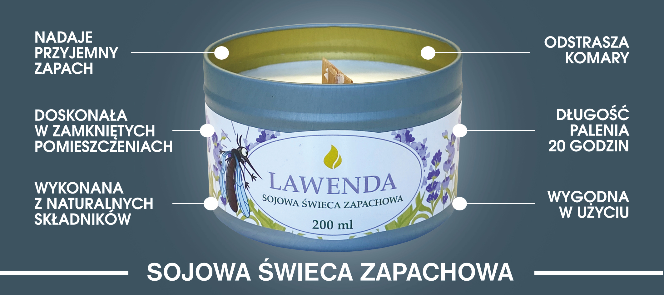 lawenda opis